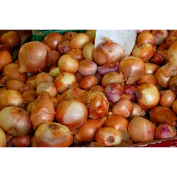 Organic Onion